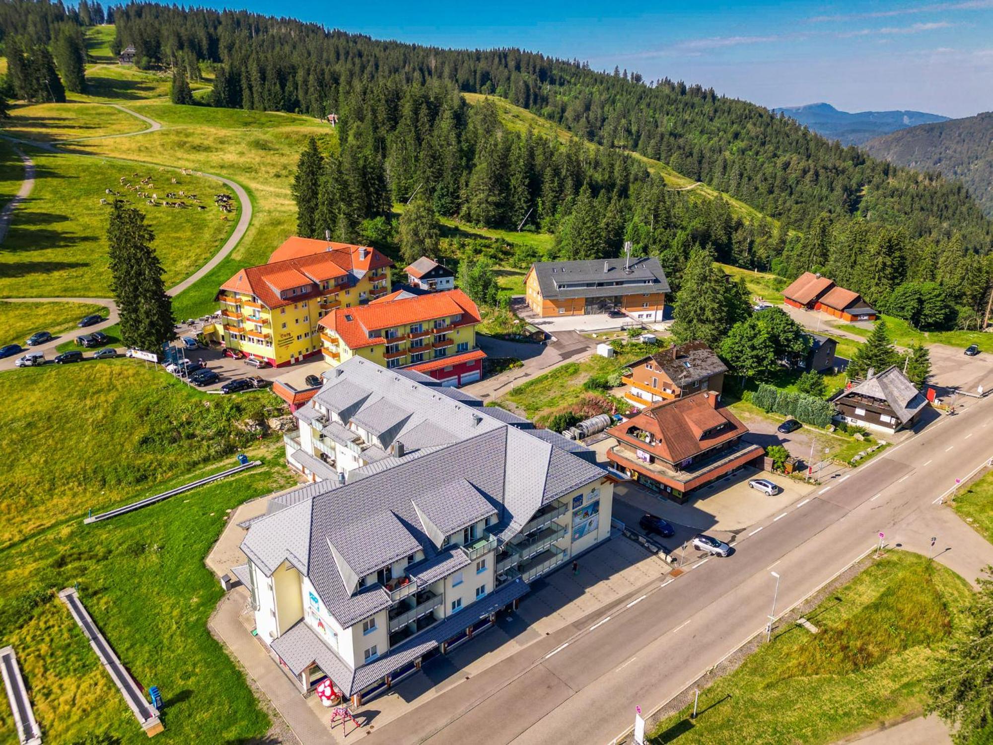 Feldberg Domizil - Residenz Grafenmatt Apartment Rinken Luaran gambar